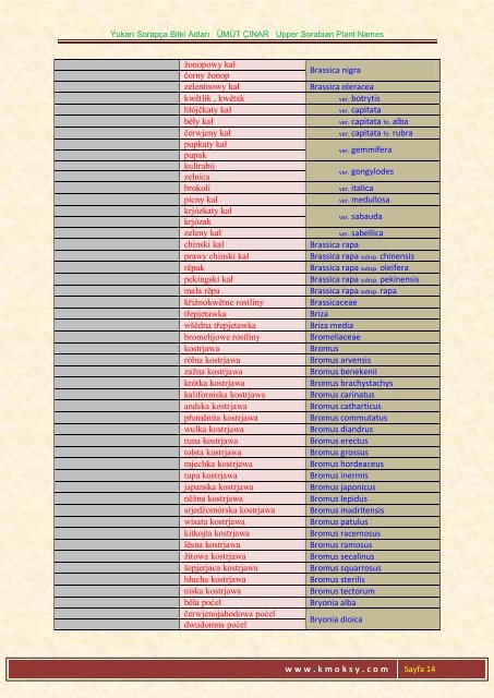 Yukarı Sorapça Bitki Adları ÜMÜT ÇINAR Upper ... - Ümüt Çınar