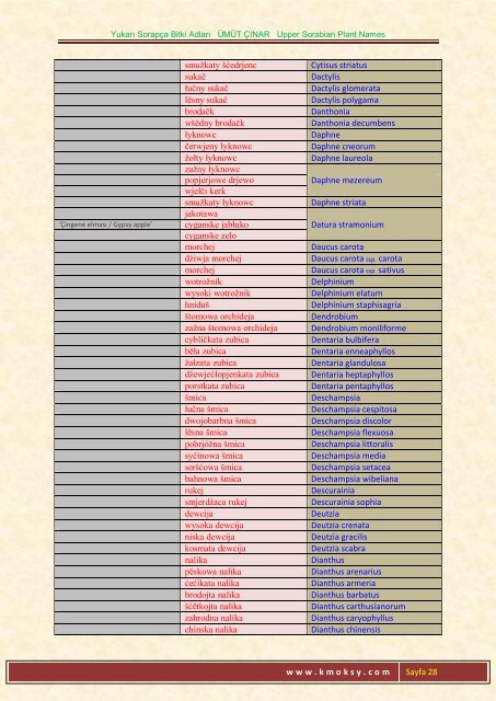 Yukarı Sorapça Bitki Adları ÜMÜT ÇINAR Upper ... - Ümüt Çınar