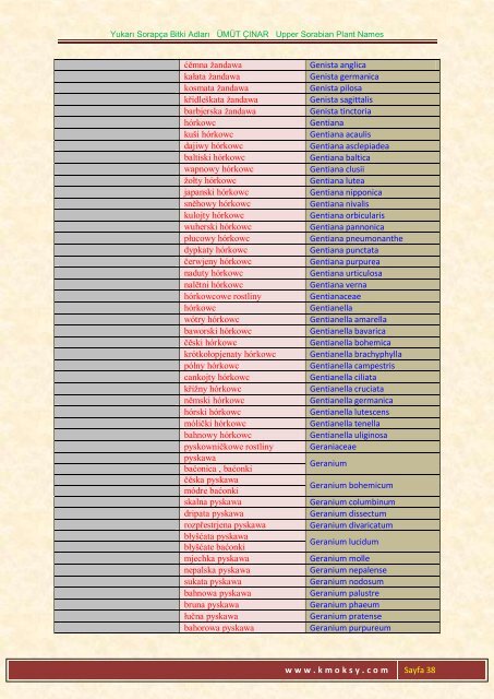 Yukarı Sorapça Bitki Adları ÜMÜT ÇINAR Upper ... - Ümüt Çınar