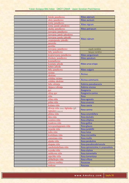 Yukarı Sorapça Bitki Adları ÜMÜT ÇINAR Upper ... - Ümüt Çınar
