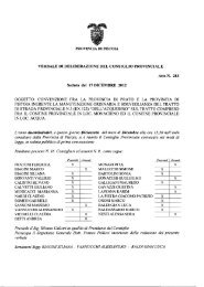 VERBALE DI DELIBERAZIONE DEL CONSIGLIO PROVINCIALE ...