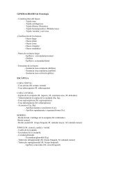 Objetivos Descripción Del Proceso