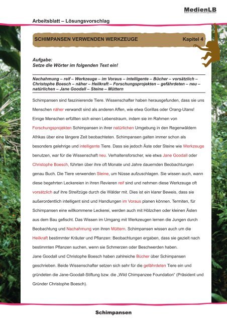 Schimpansen Affen im Regenwald - Sufino.de - dein Freizeitland