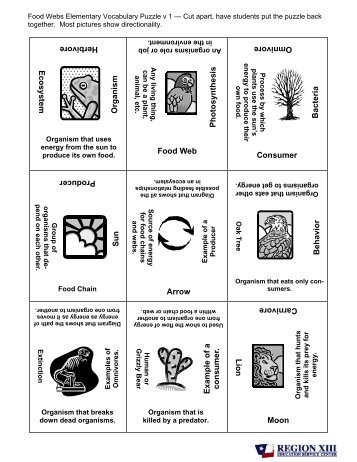 Food Web Vocabulary Puzzle - Elementary