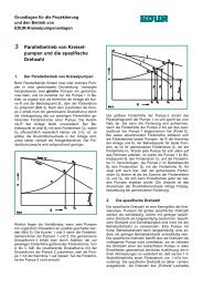 3 Parallelbetrieb von Kreisel- pumpen und die spezifische Drehzahl