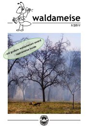 waldameise - Waldjugend NRW