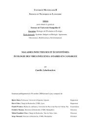 Ã©cologie des virus influenza aviaires en Camargue - IRD