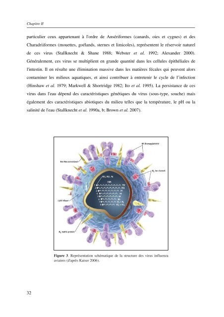 Ã©cologie des virus influenza aviaires en Camargue - IRD