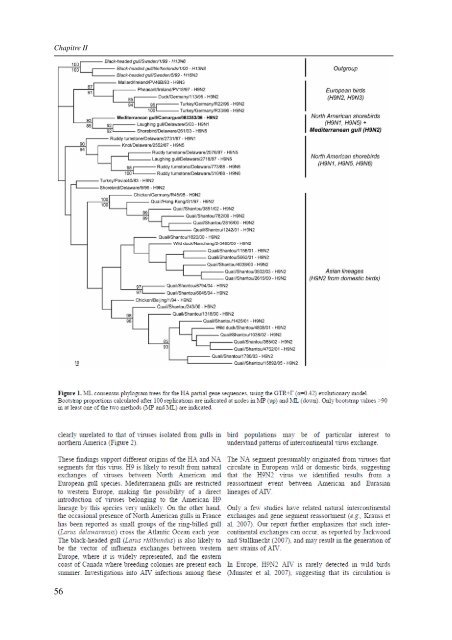 Ã©cologie des virus influenza aviaires en Camargue - IRD