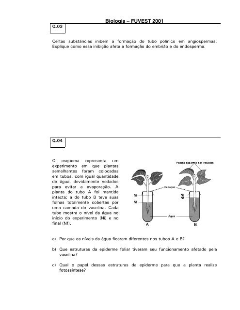 Biologia â FUVEST 2001