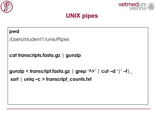 Introduction to Unix