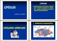 LİPİDLER