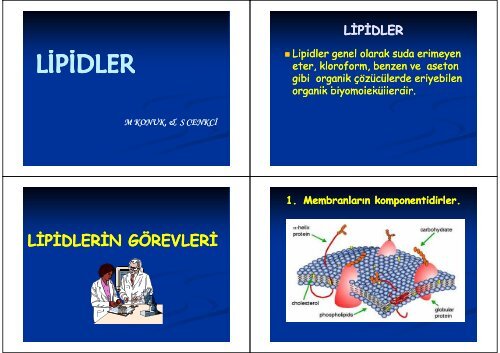 LİPİDLER