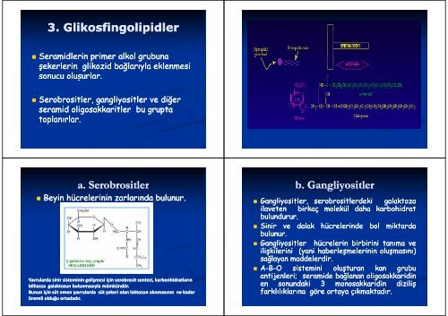 LİPİDLER