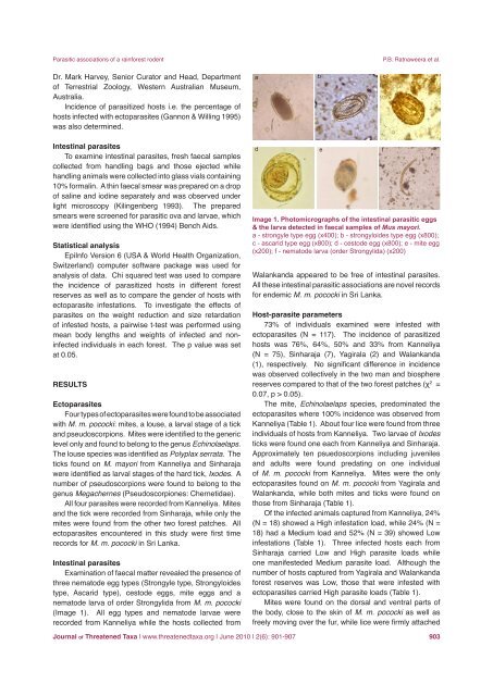 Parasitic associations of a threatened Sri Lankan rainforest rodent ...