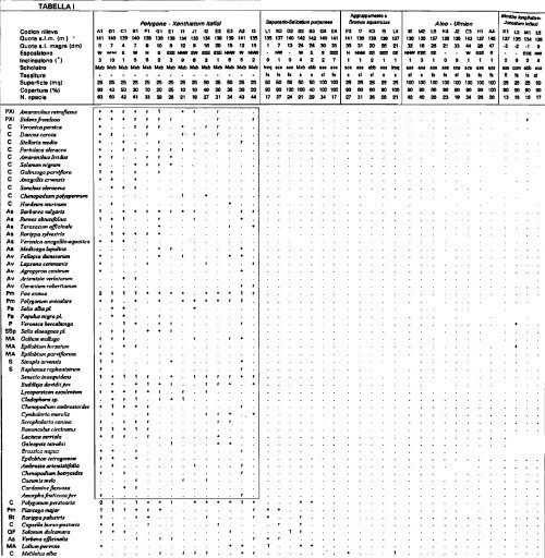 Scarica il numero in pdf - Biblioteca digitale - Provincia di Cremona