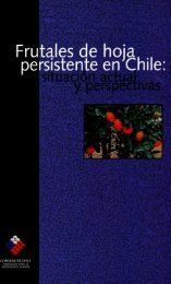 Frutales de hoja persistente en Chile