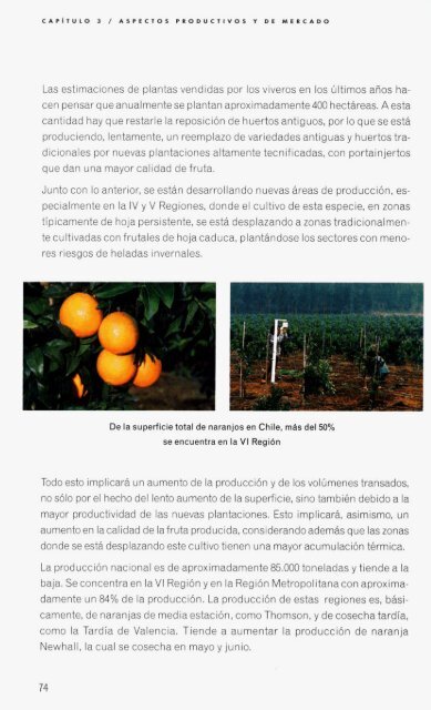 Frutales de hoja persistente en Chile