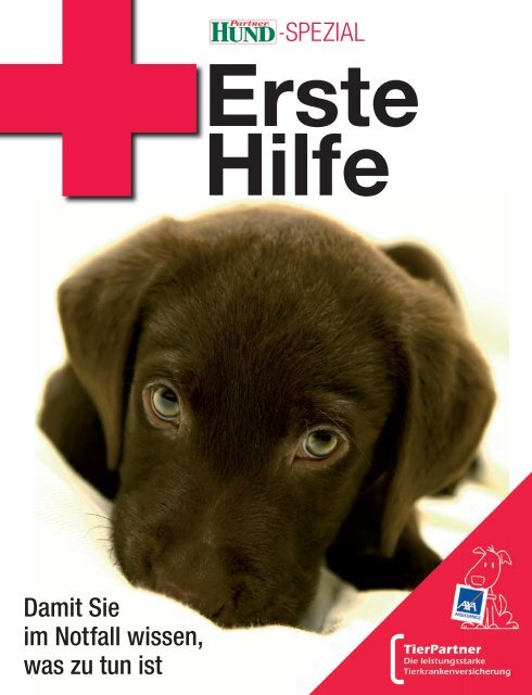PDF-File Erste-Hilfe-Broschüre - Partner Hund