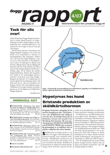 Doggy-Rapport nr 4-07.qxd