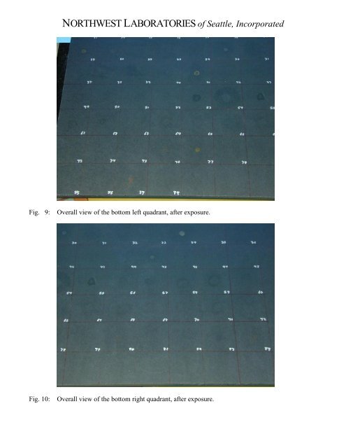 Richlite Lab Top Chemical Resistence Test