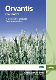 Blé tendre - Syngenta