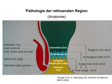 Pathologie Rektanal Rüschoff & Wrba IAP Nr 109 (2007).pdf