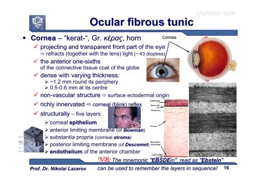 Sense Organs [download]