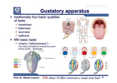 Sense Organs [download]