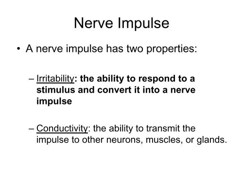 The Nervous System