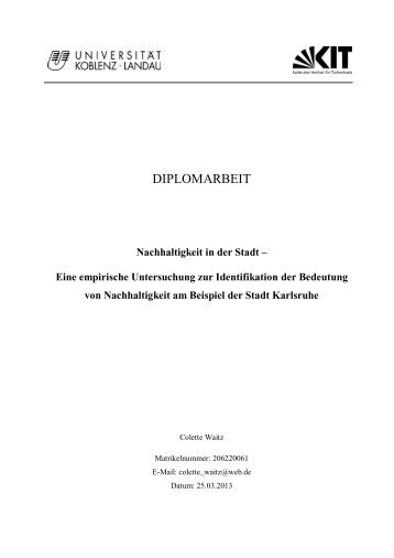 DIPLOMARBEIT - Arbeitswelt der Geographie