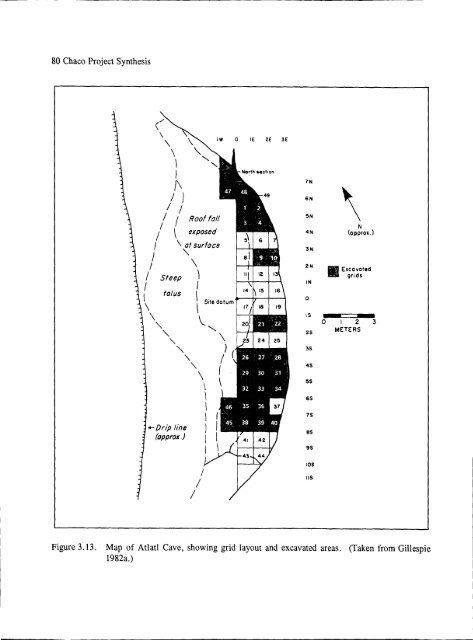 Culture and Ecology of Chaco Canyon and the San Juan Basin