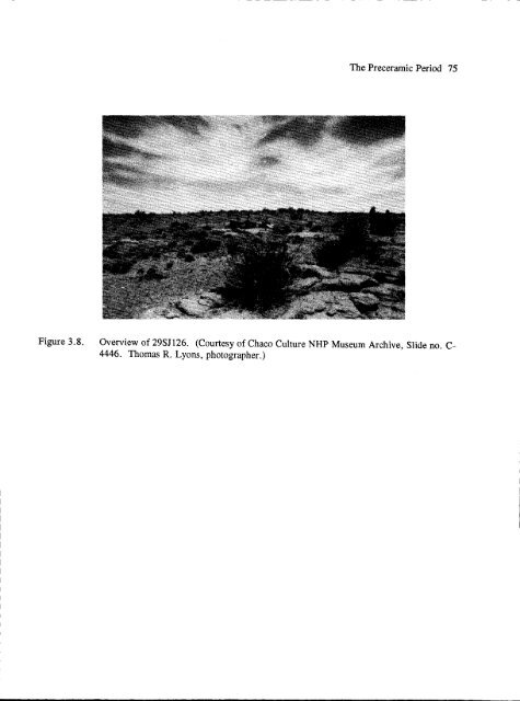 Culture and Ecology of Chaco Canyon and the San Juan Basin