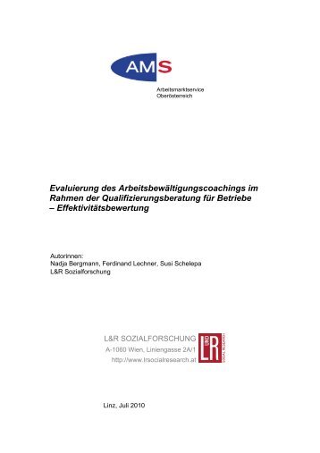 EffektivitÃ¤tsbewertung - L&R Sozialforschung