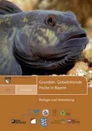 PDF 5 MB - Digitaler Fischartenatlas von Deutschland und Österreich