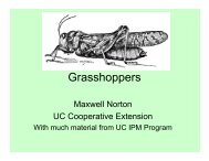 Grasshoppers - UC Cooperative Extension