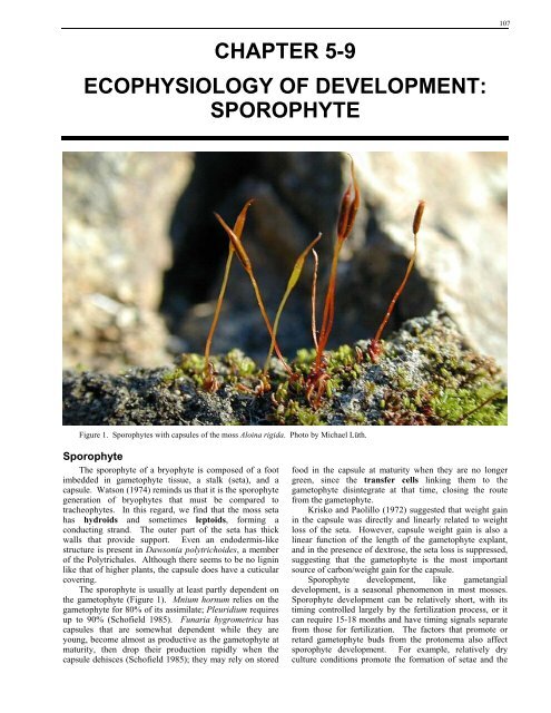 chapter 5-9 ecophysiology of development: sporophyte - Bryophyte ...