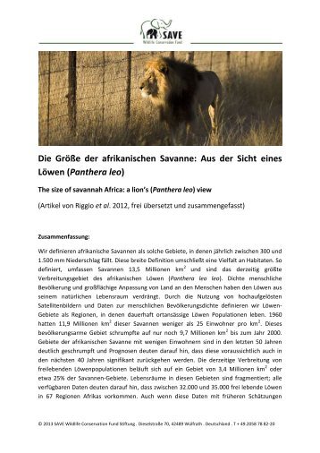 Die Größe der afrikanischen Savanne: Aus der Sicht eines Löwen ...