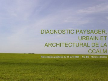 diagnostic paysager, urbain et architectural de la ccalm