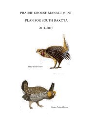 prairie grouse - South Dakota Department of Game, Fish and Parks