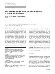 Root water uptake and profile soil water as affected by vertical root ...