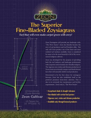 Zeon Zoysia Brochure - The Turf Grass Group
