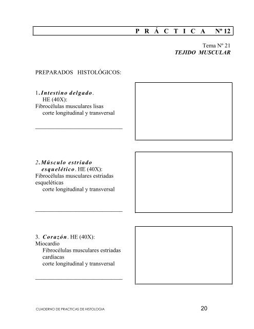 Cuaderno de PrÃ¡cticas de HistologÃ­a - Medic.ula.ve