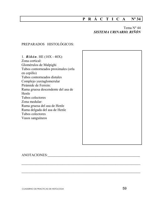 Cuaderno de PrÃ¡cticas de HistologÃ­a - Medic.ula.ve