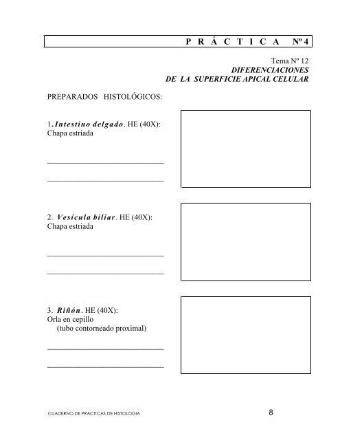 Cuaderno de PrÃ¡cticas de HistologÃ­a - Medic.ula.ve
