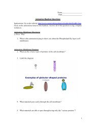 Cellular Transport Animations Handout (pdf)