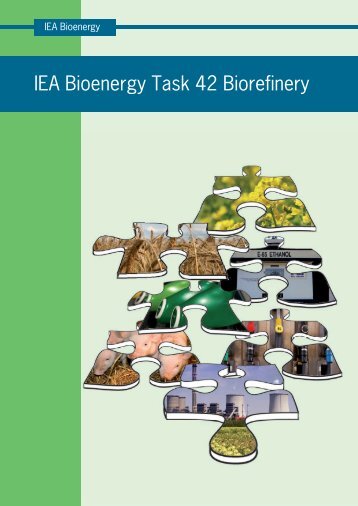 IEA Bioenergy Task 42 Biorefinery