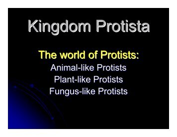 Kingdom Protista Powerpoint - Hamilton Local Schools