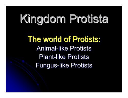 Kingdom Protista Powerpoint - Hamilton Local Schools