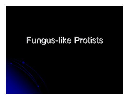 Kingdom Protista Powerpoint - Hamilton Local Schools